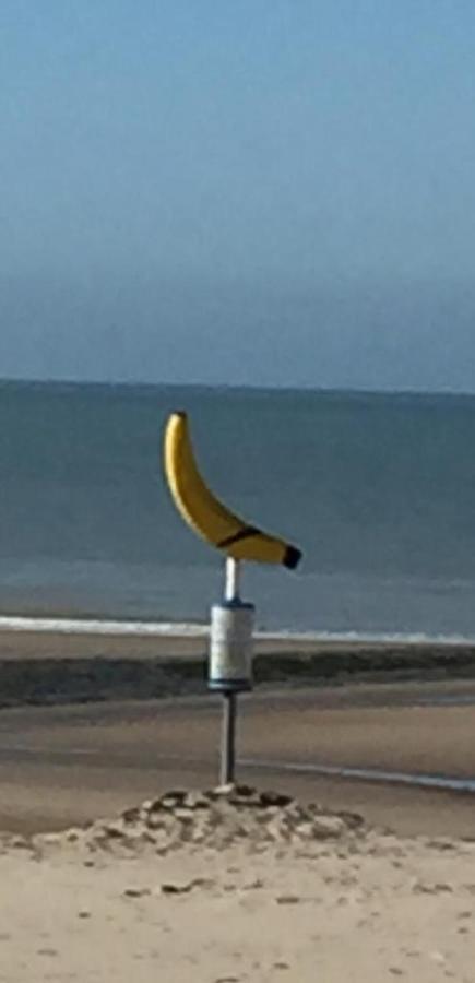 Beachstudio Westende With Sea View ミデルケルケ エクステリア 写真