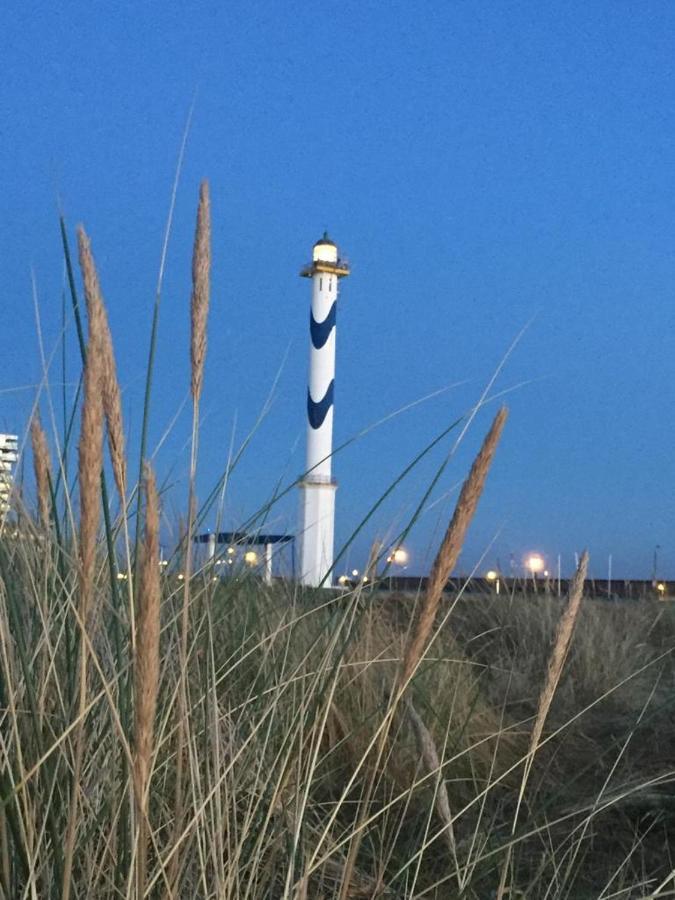 Beachstudio Westende With Sea View ミデルケルケ エクステリア 写真