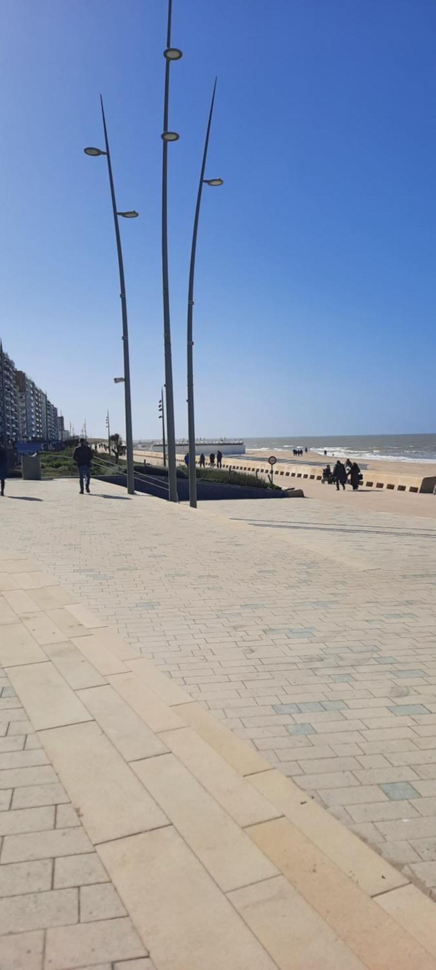 Beachstudio Westende With Sea View ミデルケルケ エクステリア 写真